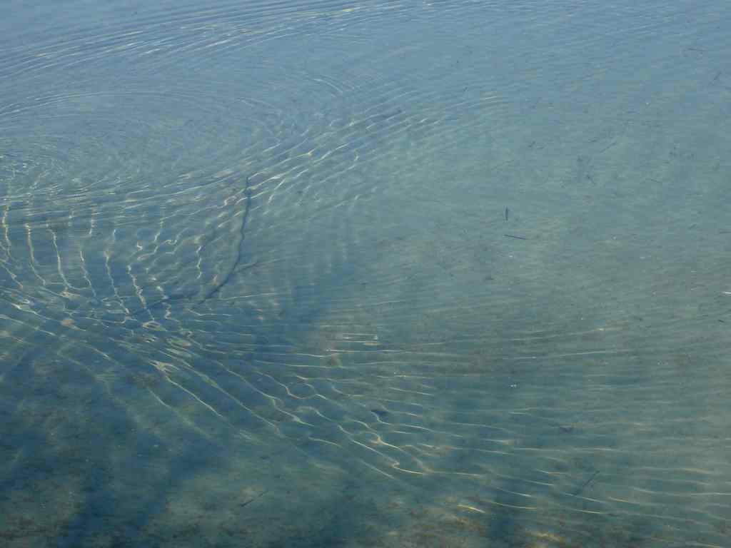 Wasserspiegel_P1150358